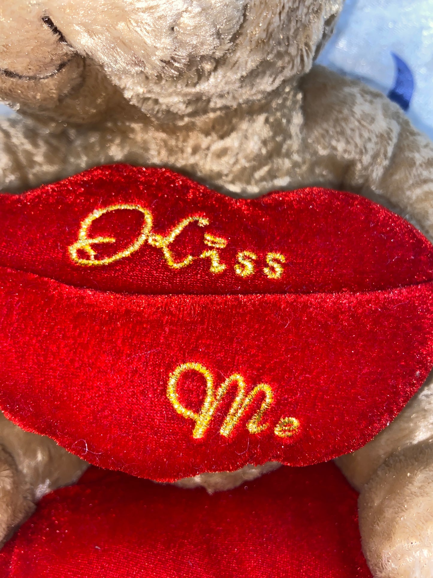 Valentine's Day Special Kiss me Teddy Bear